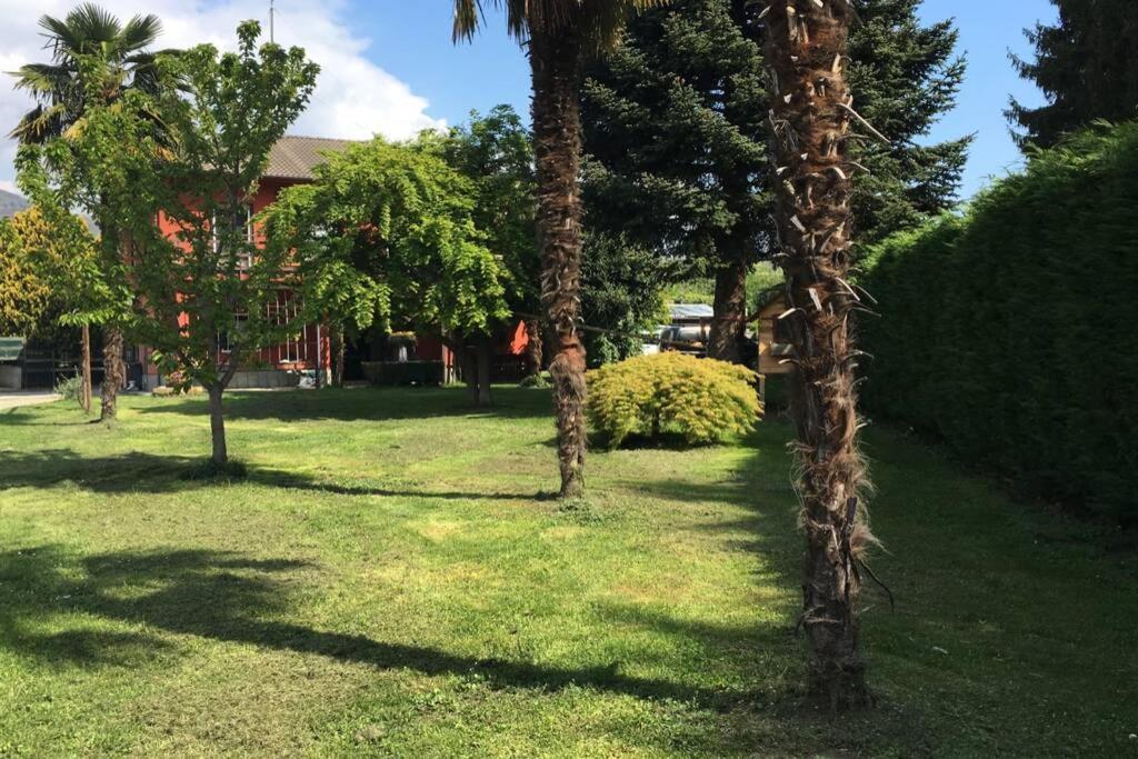 شقة Garola Coccode Luserna San Giovanni المظهر الخارجي الصورة